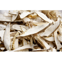 Chino Secado Shiitake Mushroom Slice Venta al por mayor